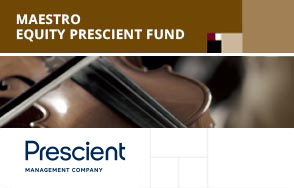Maestro Equity Fund